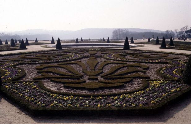 Версаль. Цветник с узором в виде лилии - символа династии Бурбонов