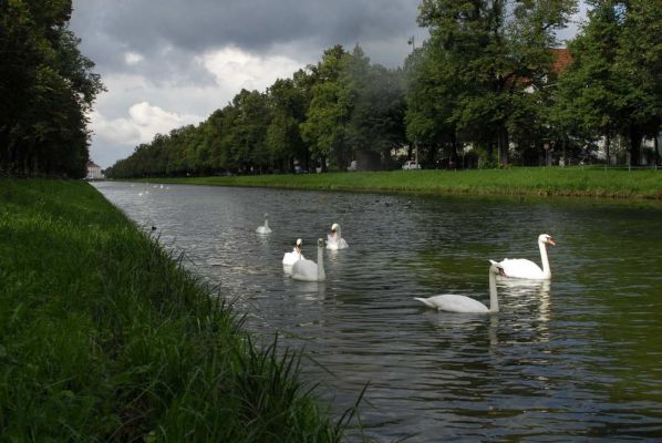 Нимфенбург. Лебеди на канале