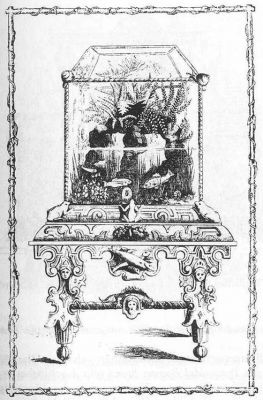 Аквариум. Гравюра. 1857