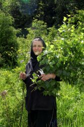 Матушка Варвара, хранительница ландшафтов Дунина. 2008