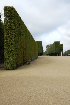 Зеленые стены и небесные залы Версаля