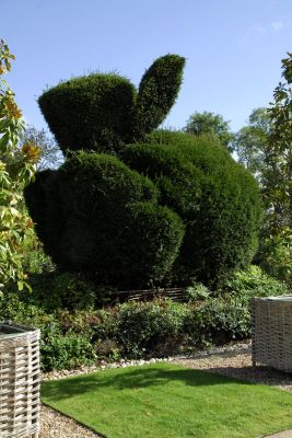 Зеленый заяц - преддверие фестиваля садов в Шомоне