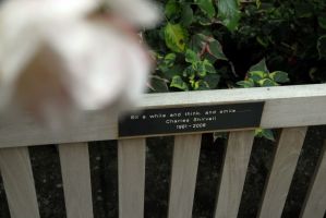 Памятная скамейка в саду Ковент-Гарден: Пройдешь - садись, подумай, улыбнись... 