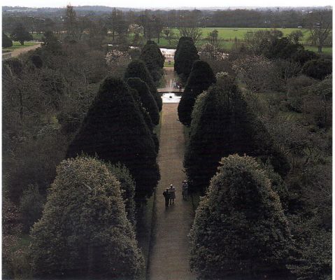 Хемптон Корт. Собственный сад в тени разросшихся тисов. Фото 1920-х годов