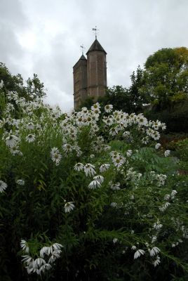 Сиссингхерст. Хризантемы Белого сада на фоне Башни