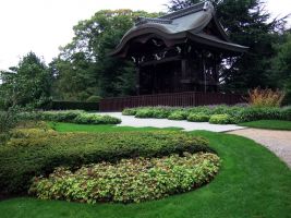 Кью. Ландшафт и растения Японского сада. Фото Елены Лапенко