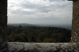 Стоурхед. Панорама с Башни. 5. За лесом - озеро и парк