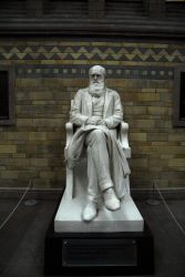 Лондон. Музей истории природы. Чарлз Дарвин в окружении своих подопечных