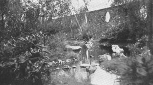 Лондон. Кенсингтонские висячие сады. В 1930-е годы Лесной сад выглядел естественнее