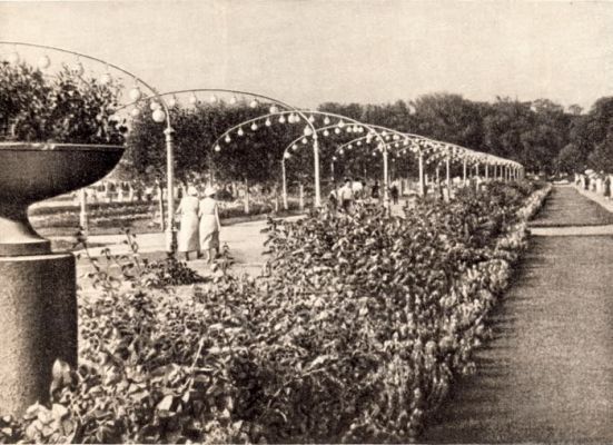 ЦПКиО. Ландышевая аллея. Фото 1935 года